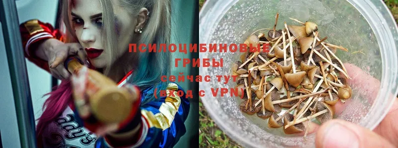 гидра онион  Суоярви  Галлюциногенные грибы Magic Shrooms 